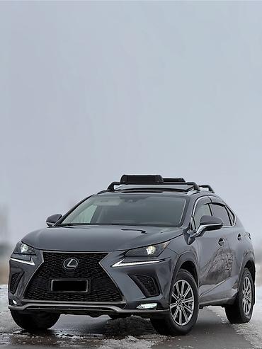 Lexus: Lexus NX: 2019 г., 2 л, Автомат, Бензин, Кроссовер — 3