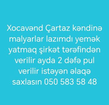 Təhsil, elm: Xocavənd rayonu, Çartaz kəndində iş elanları - Bütün sahələr üzrə
