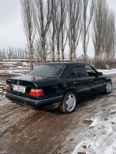 Mercedes-Benz: Mercedes-Benz W124: 1993 г., 3.2 л, Автомат, Бензин, Седан