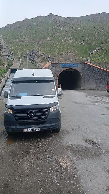 каракол мото: Пункт назначения: Манас (Джалал-Абад), Количество мест: 18, Лицензия №: 04B00118 — 4