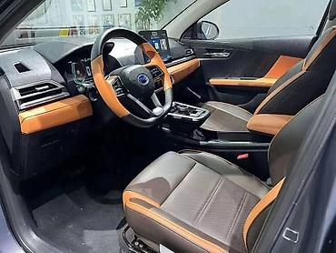 BYD: BYD : 2020 г., Автомат, Электромобиль, Хэтчбэк — 9