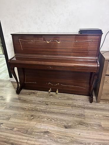 piyanina: Rönisch upright pianino - Marka/model: RÖNISCH upright - Korpus — 1
