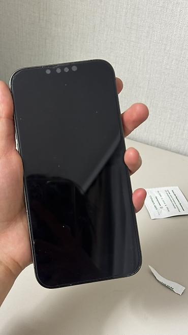 IPhone 13 Pro Max, Б/у, 256 ГБ, Black Titanium, Защитное стекло, 79 %