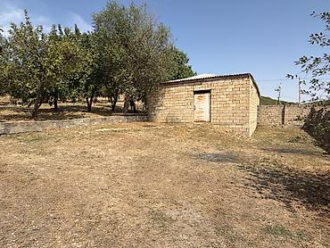 masazirda satilan evler type 1: 7 otaqlı, 40 kv. m, Kredit yoxdur, Orta təmir — 8