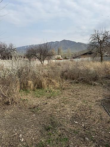 кок джар ж м: 13 соток, Курулуш, Кызыл китеп — 2