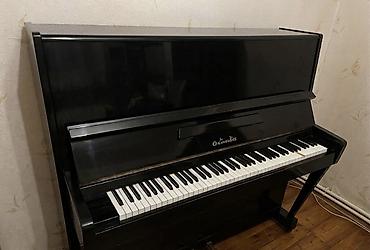 Musiqi alətləri: Pianino - Korpus: qara, parlaq lak örtük, klassik düz (upright) — 2