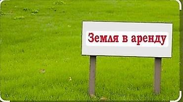 с бизнесом: 8 соток Для бизнеса — 1