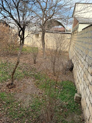 Torpaq sahələrinin satışı: Biznes üçün, Mülkiyyətçi, Kupça (Çıxarış) -da lalafo.az — 3 Torpaq sahələrinin satışı: Biznes üçün, Mülkiyyətçi, Kupça (Çıxarış) — 3