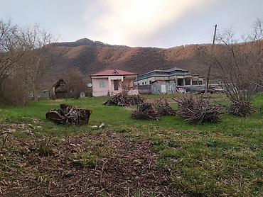 ev: Zaqatala, 70 kv. m, 3 otaqlı, Hovuzsuz, Kanalizasiya, Telefon, İşıq — 1