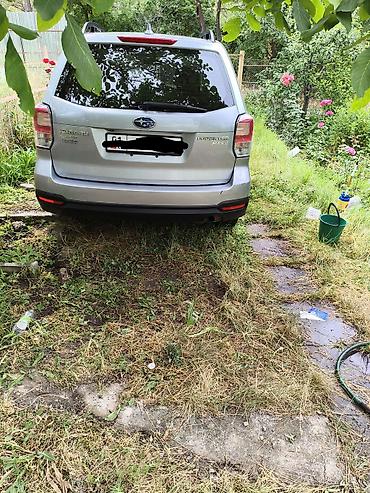 subaru forester: Subaru Forester: 2016 г., Кроссовер — 4