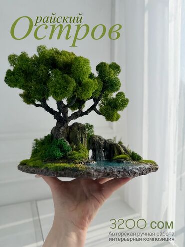 Декоративные цветы: Деревья-бонсай из натурального стабилизированного мха🌳 -это — 43
