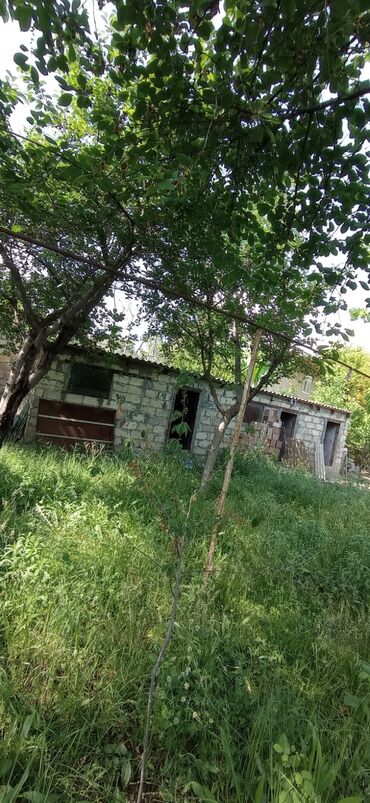 Torpaq sahələrinin satışı: 9 sot, Biznes üçün, Mülkiyyətçi, Kupça (Çıxarış) — 10