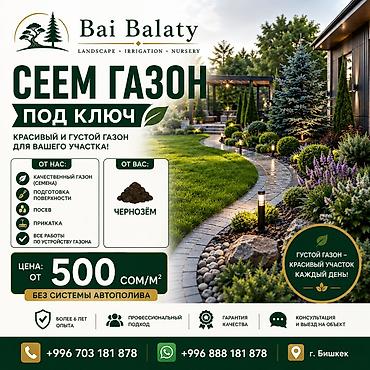 Сеем газон под ключ — красивый и густой газон для вашего участка. Что