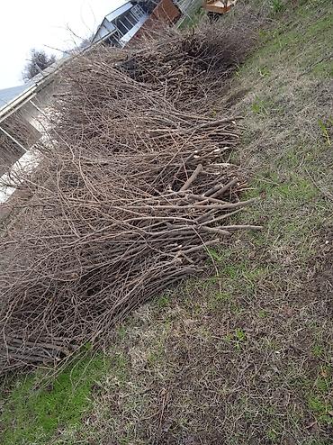 Дрова: Дрова — 1