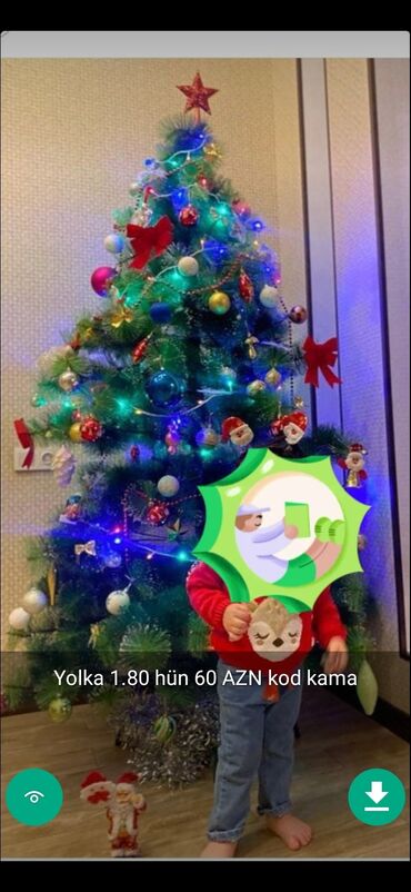 Yeni il ağacları: Yolkalar şaxda baba sekillerde qiymət məlumat qeyd olunub unvan Gence -da lalafo.az — 5 Yeni il ağacları: Yolkalar şaxda baba sekillerde qiymət məlumat qeyd olunub unvan Gence — 5