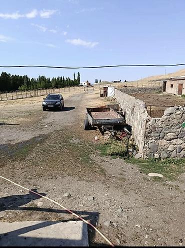 кашао: Кошара, 120 соток, Действующий, С оборудованием, Частично с оборудованием, Газ, Электричество, Отопление — 4