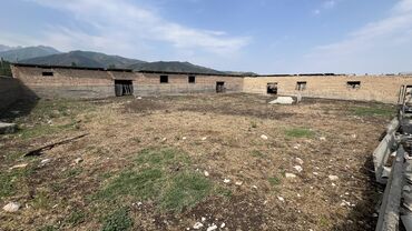 срочно продаю участок газ канализация есть: Сатам Кой короо, 9999 соток, Иштебеген, Жарым-жартылай жабдуулары менен, Муздак суу, Электр энергиясы