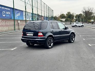 4matic: Mercedes-Benz M-Class: 2003 г., 4 л, Автомат, Дизель, Кроссовер — 5