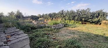 hovsanda torpaq satilir 2025: 6 sot, Tikinti, Mülkiyyətçi, Kupça (Çıxarış) — 7