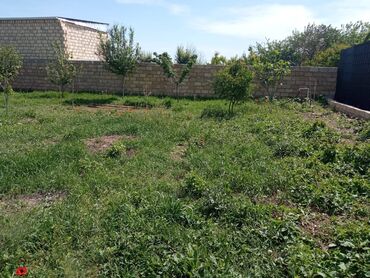 Həyət evləri və villaların satışı: 3 otaqlı, 100 kv. m, Orta təmir -da lalafo.az — 7 Həyət evləri və villaların satışı: 3 otaqlı, 100 kv. m, Orta təmir — 7