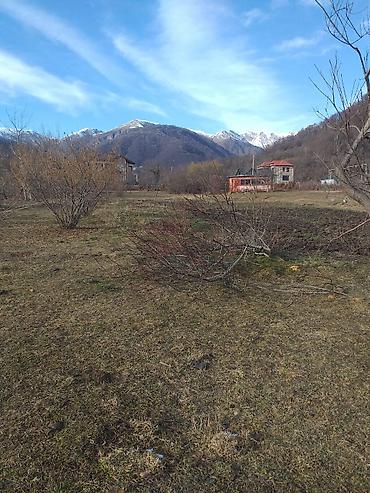 Torpaq sahələrinin satışı: Tikinti — 8