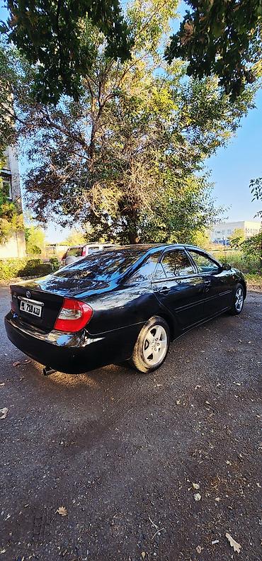 мини кара: Toyota Camry: 2003 г., 2.4 л, Автомат, Газ, Седан — 4