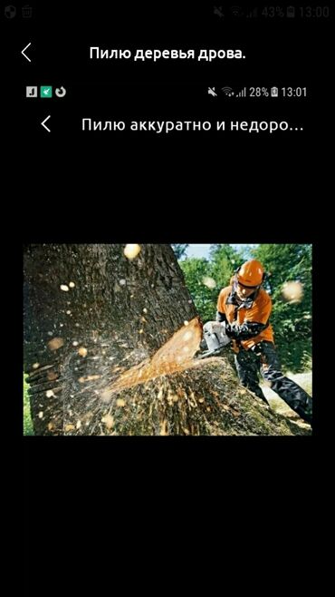 КОЗЛЫ ДЛЯ ПИЛКИ ДРОВ STIHL