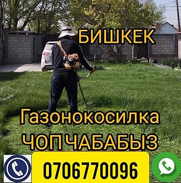 триммеры косилка: Триммер, мотокоса, Новый, Бензиновый, Alteco, 4-х тактный двигатель, Бесплатная доставка — 1