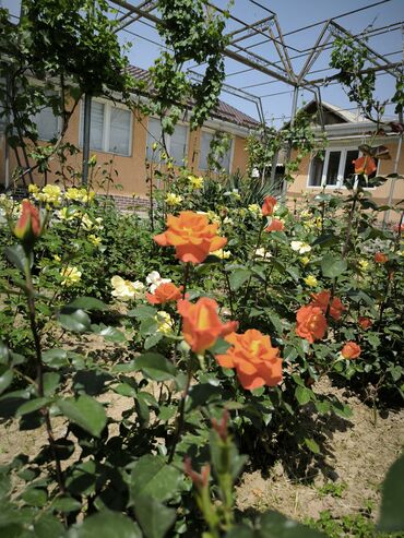 Продажа домов: Дом, 1441 м², 8 комнат — 41