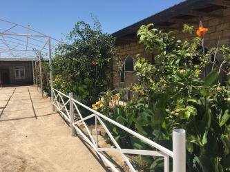 Bağ evlərinin satışı: Bakı, Türkan qəs., 1500 kv. m, 7 otaqlı, Hovuzlu, Qaz, İşıq, Su — 13