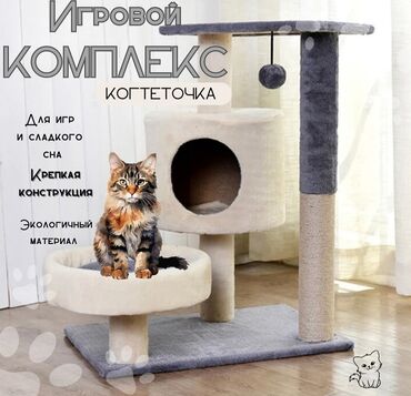 Зоотовары: ✨ Подарите вашему любимцу целый мир развлечений и уютный уголок для