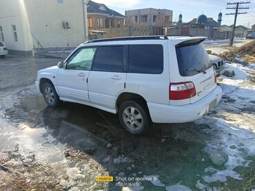 Subaru: Subaru Forester: 2000 г., 2 л, Автомат, Бензин