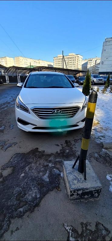 Транспорт: Hyundai Sonata: 2016 г., 2.4 л, Автомат, Бензин, Седан — 3