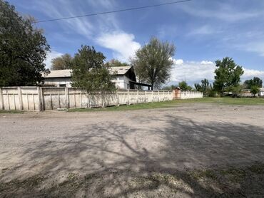 сдаю комнату для одного: 47 соток, Для бизнеса, Красная книга
