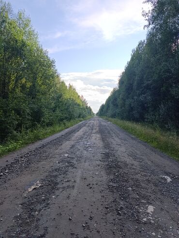 дом в селе садовое: Пр землю 3г,40с Село Нижний чюйск под Овощи самое то можно сажать