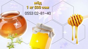 чемодан токмок: Мёд чистый горный 2024