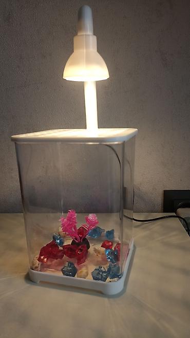 раком: Компактный настольный аквариум с LED‑подсветкой - Прозрачный — 2