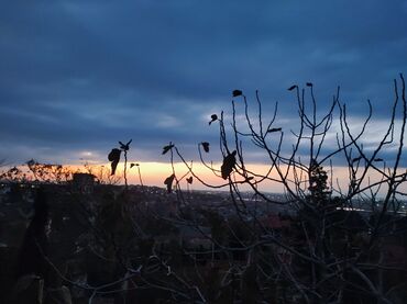 bağ evinə axran: İs axdariram xanimam wirniyat komekcisi derzi komekcisi satici hansi lalafo.az -da bağ evinə axran: İs axdariram xanimam wirniyat komekcisi derzi komekcisi satici hansi
