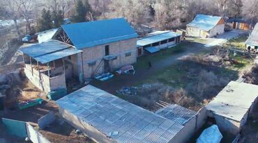 квартира берилет калыс ордо: 26 соток, Бизнес үчүн, Кызыл китеп
