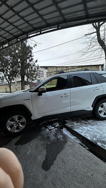 Toyota: Toyota RAV4: 2019 г., 2.5 л, Автомат, Гибрид, Внедорожник — 1