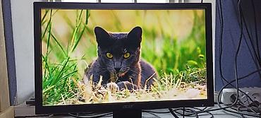 Мониторы: Монитор, Acer, Б/у, 18" - 19" — 7