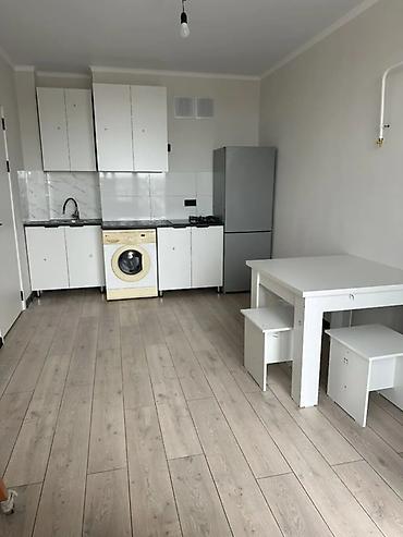 Батирлер: 1 бөлмө, Туңгуч мкр Кыймылсыз мүлк агенттиги, Жаныбарлары жок, 1 айдан баштап, 3 айдан баштап, 6 айдан баштап, Жарым -жартылай эмереги бар — 1
