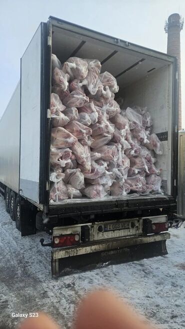 Мясо: Баранина : Лопатка, Более 10 кг — 10