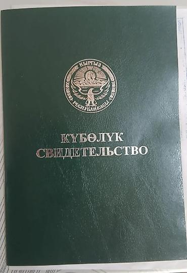Кыймылсыз мүлк: 250 соток, Айыл чарба үчүн — 1