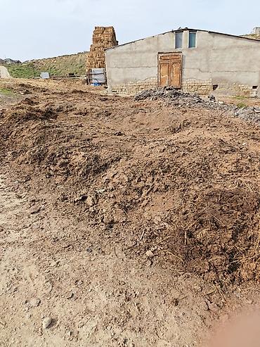 ferma demir: Təbii mal peyini – torpaq üçün üzvi gübrə - Mənşə: Ferma mənşəli — 1