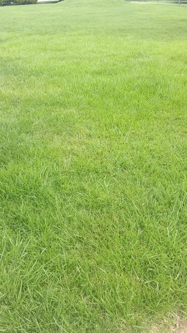 Torf: Torf 250 litrlik ekolayf perlitli 250 litrlik torf perlitli organik — 29