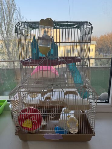 для кошек домики: Все для хомячка там 2 домика, но я их соединила и сделала 4 этажа