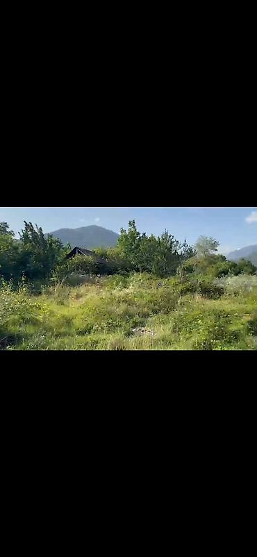 Torpaq sahələrinin satışı: 100 sot, Tikinti, Mülkiyyətçi, Kupça (Çıxarış) — 12