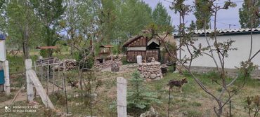 Продажа участков: 450 соток, Для сельского хозяйства at lalafo.kg — 10 Продажа участков: 450 соток, Для сельского хозяйства — 10