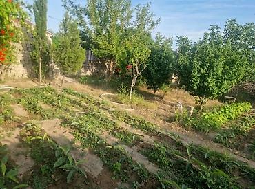 tecili satilan ucuz evler 2025: Bakı, Qala qəs., 30 kv. m, 2 otaqlı, Hovuzlu, İnternet, Telefon, İşıq — 3